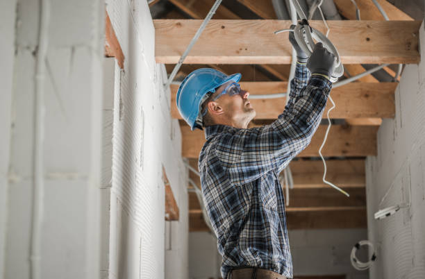 Best Electric Panel Repair  in Whitewright, TX